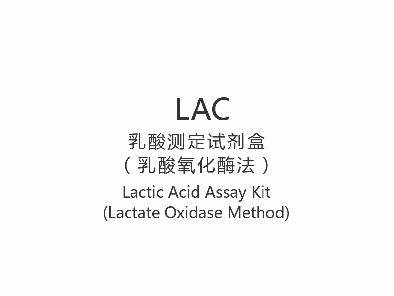 【LAC】Alat Uji Asam Laktat (Metode Oksidase Laktat)