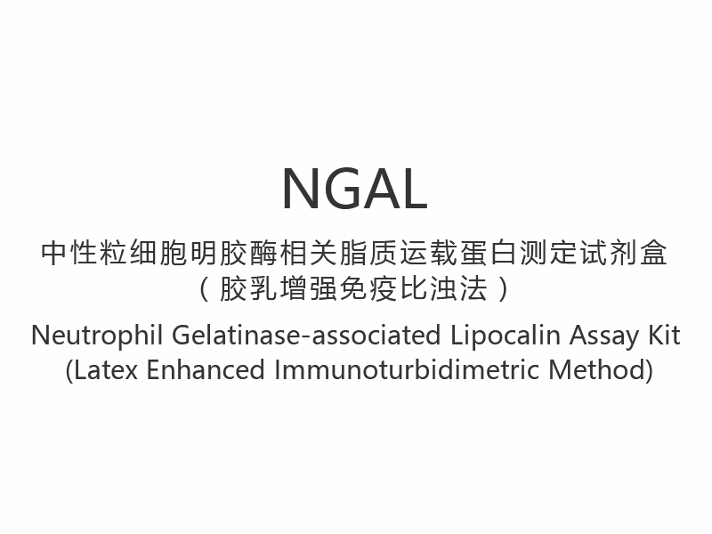 【NGAL】Perangkat Uji Lipocalin Terkait Neutrofil Gelatinase (Metode Imunoturbidimetri yang Ditingkatkan Lateks)